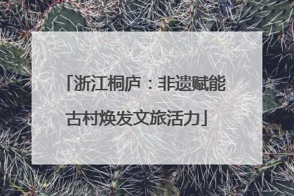 浙江桐庐：非遗赋能古村焕发文旅活力