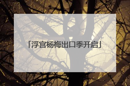 浮宫杨梅出口季开启
