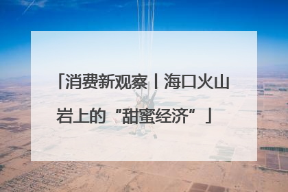 消费新观察丨海口火山岩上的“甜蜜经济”