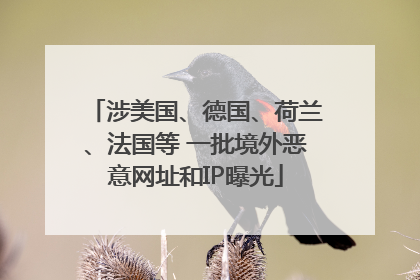 涉美国、德国、荷兰、法国等 一批境外恶意网址和IP曝光
