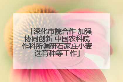 深化市院合作 加强协同创新 中国农科院作科所调研石家庄小麦选育种等工作