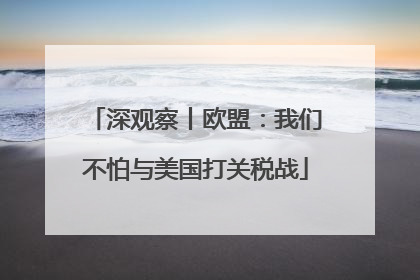 深观察丨欧盟：我们不怕与美国打关税战