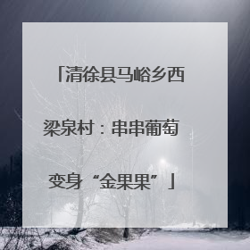 清徐县马峪乡西梁泉村：串串葡萄变身“金果果”