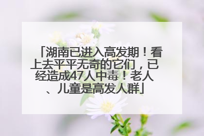 湖南已进入高发期！看上去平平无奇的它们，已经造成47人中毒！老人、儿童是高发人群
