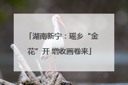 湖南新宁：瑶乡“金花”开 增收画卷来