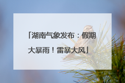 湖南气象发布：假期大暴雨！雷暴大风