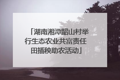 湖南湘潭韶山村举行生态农业共富责任田插秧助农活动