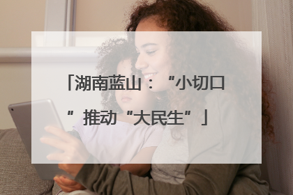 湖南蓝山：“小切口”推动“大民生”