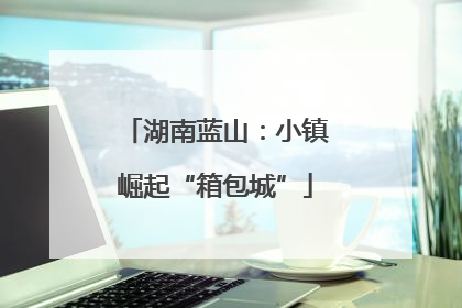 湖南蓝山：小镇崛起“箱包城”