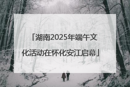 湖南2025年端午文化活动在怀化安江启幕