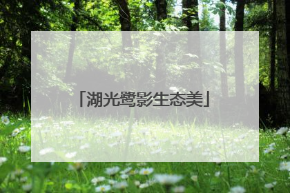 湖光鹭影生态美