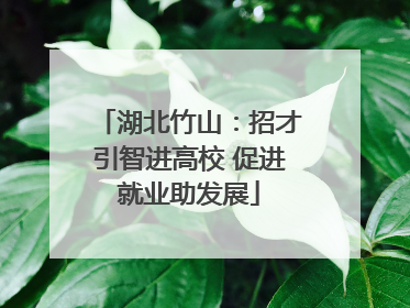 湖北竹山：招才引智进高校 促进就业助发展