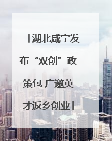 湖北咸宁发布“双创”政策包 广邀英才返乡创业