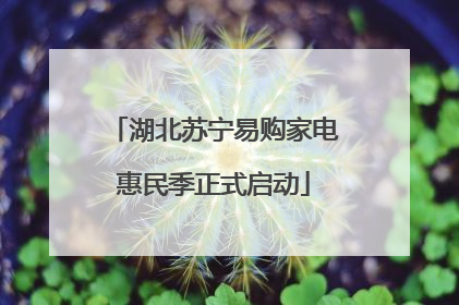 湖北苏宁易购家电惠民季正式启动