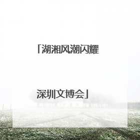 湖湘风潮闪耀深圳文博会