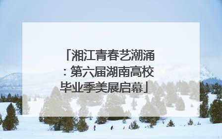 湘江青春艺潮涌：第六届湖南高校毕业季美展启幕
