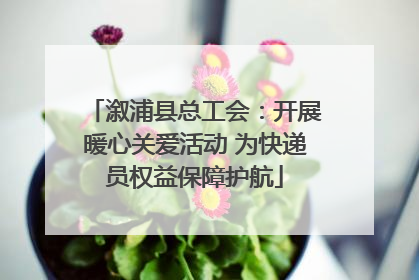 溆浦县总工会：开展暖心关爱活动 为快递员权益保障护航