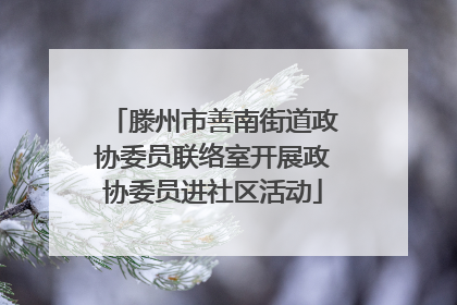 滕州市善南街道政协委员联络室开展政协委员进社区活动