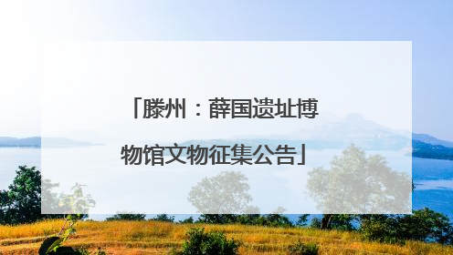 滕州：薛国遗址博物馆文物征集公告