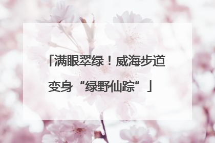 满眼翠绿！威海步道变身“绿野仙踪”