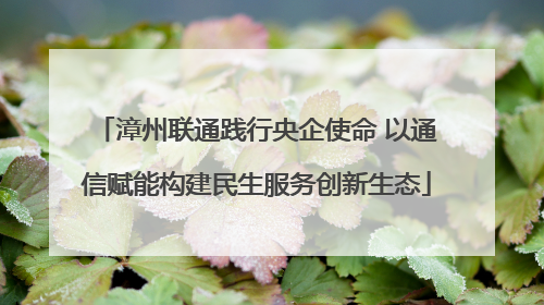 漳州联通践行央企使命 以通信赋能构建民生服务创新生态