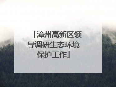 漳州高新区领导调研生态环境保护工作