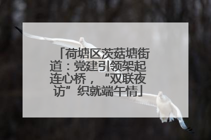 荷塘区茨菇塘街道：党建引领架起连心桥，“双联夜访”织就端午情
