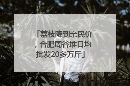 荔枝降到亲民价，合肥周谷堆日均批发20多万斤