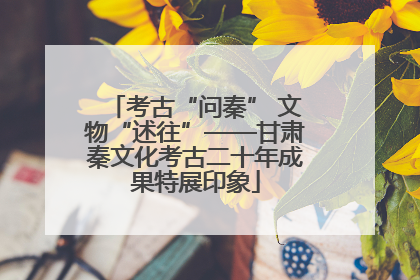 考古“问秦” 文物“述往”——甘肃秦文化考古二十年成果特展印象