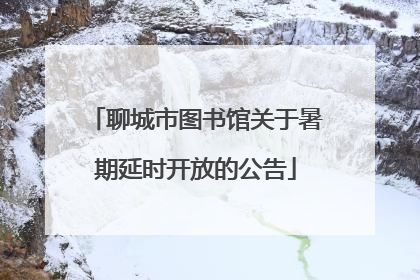 聊城市图书馆关于暑期延时开放的公告