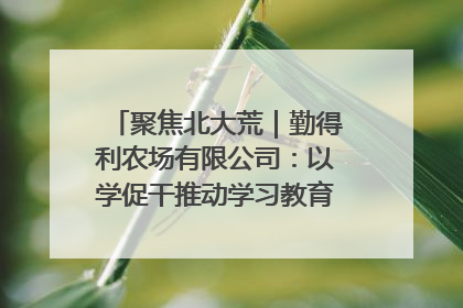 聚焦北大荒｜勤得利农场有限公司：以学促干推动学习教育“升温提速”