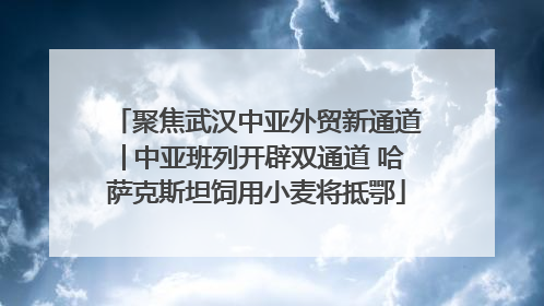 聚焦武汉中亚外贸新通道│中亚班列开辟双通道 哈萨克斯坦饲用小麦将抵鄂
