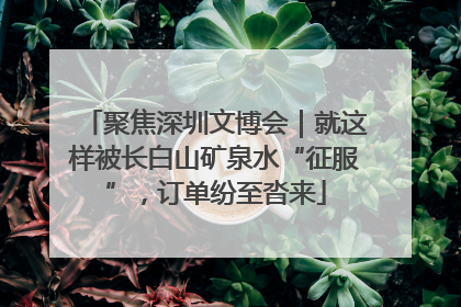 聚焦深圳文博会｜就这样被长白山矿泉水“征服”，订单纷至沓来
