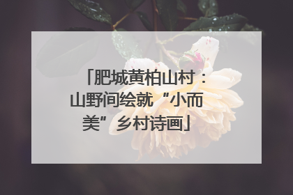 肥城黄柏山村：山野间绘就“小而美”乡村诗画