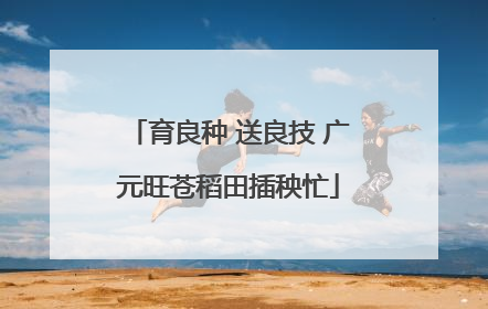 育良种 送良技 广元旺苍稻田插秧忙
