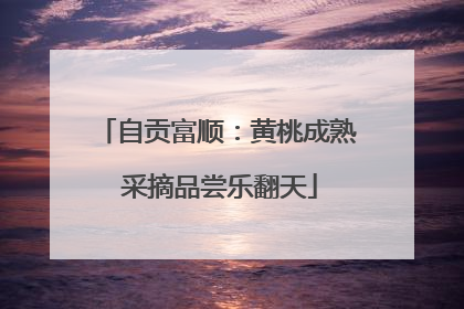 自贡富顺：黄桃成熟 采摘品尝乐翻天