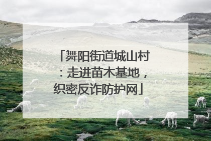 舞阳街道城山村：走进苗木基地，织密反诈防护网