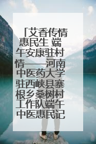 艾香传情惠民生 端午安康驻村情——河南中医药大学驻西峡县寨根乡桑树村工作队端午中医惠民记