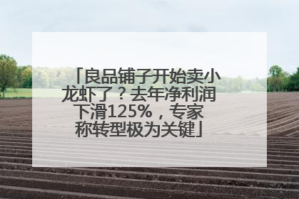 良品铺子开始卖小龙虾了？去年净利润下滑125%，专家称转型极为关键
