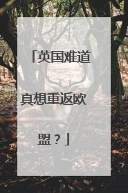 英国难道真想重返欧盟？