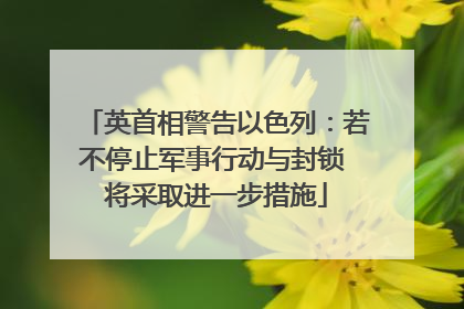 英首相警告以色列：若不停止军事行动与封锁 将采取进一步措施