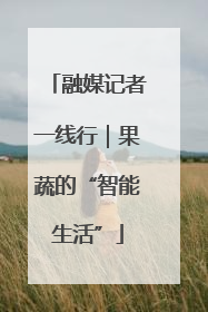 融媒记者一线行｜果蔬的“智能生活”