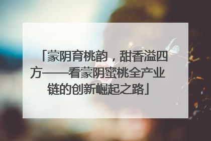 蒙阴育桃韵，甜香溢四方——看蒙阴蜜桃全产业链的创新崛起之路