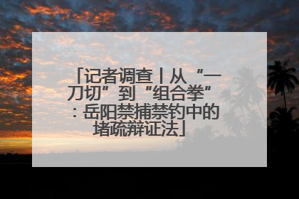记者调查丨从“一刀切”到“组合拳”：岳阳禁捕禁钓中的堵疏辩证法