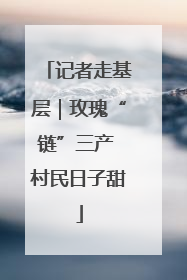 记者走基层｜玫瑰“链”三产 村民日子甜