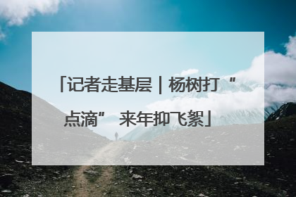 记者走基层｜杨树打“点滴” 来年抑飞絮