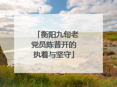 衡阳九旬老党员陈普开的执着与坚守