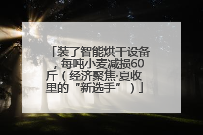 装了智能烘干设备，每吨小麦减损60斤（经济聚焦·夏收里的“新选手”）