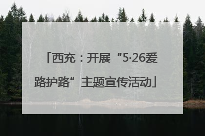 西充：开展“5·26爱路护路”主题宣传活动