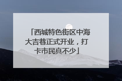 西城特色街区中海大吉巷正式开业，打卡市民真不少